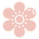 icons8-flor-64